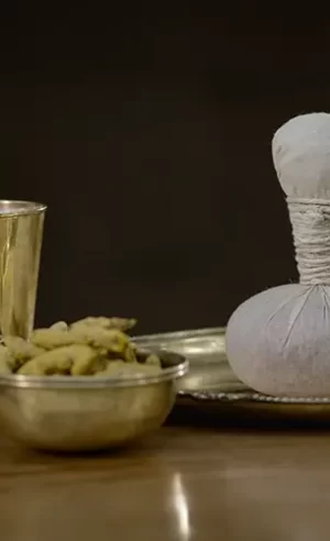 how-to-get-an-ayurvedic-treatment-1725257241_e9eb2df153e3677071c8
